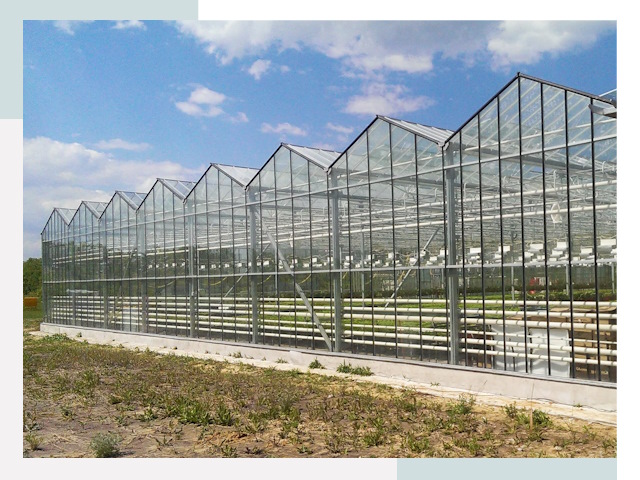Строительство теплиц в Дагестанские Огни от 619 руб. за м²